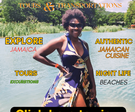 Taste the Tropics Tours