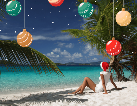 Experience a Magical Christmas in Jamaica with Taste The Tropics Tours and Transportation