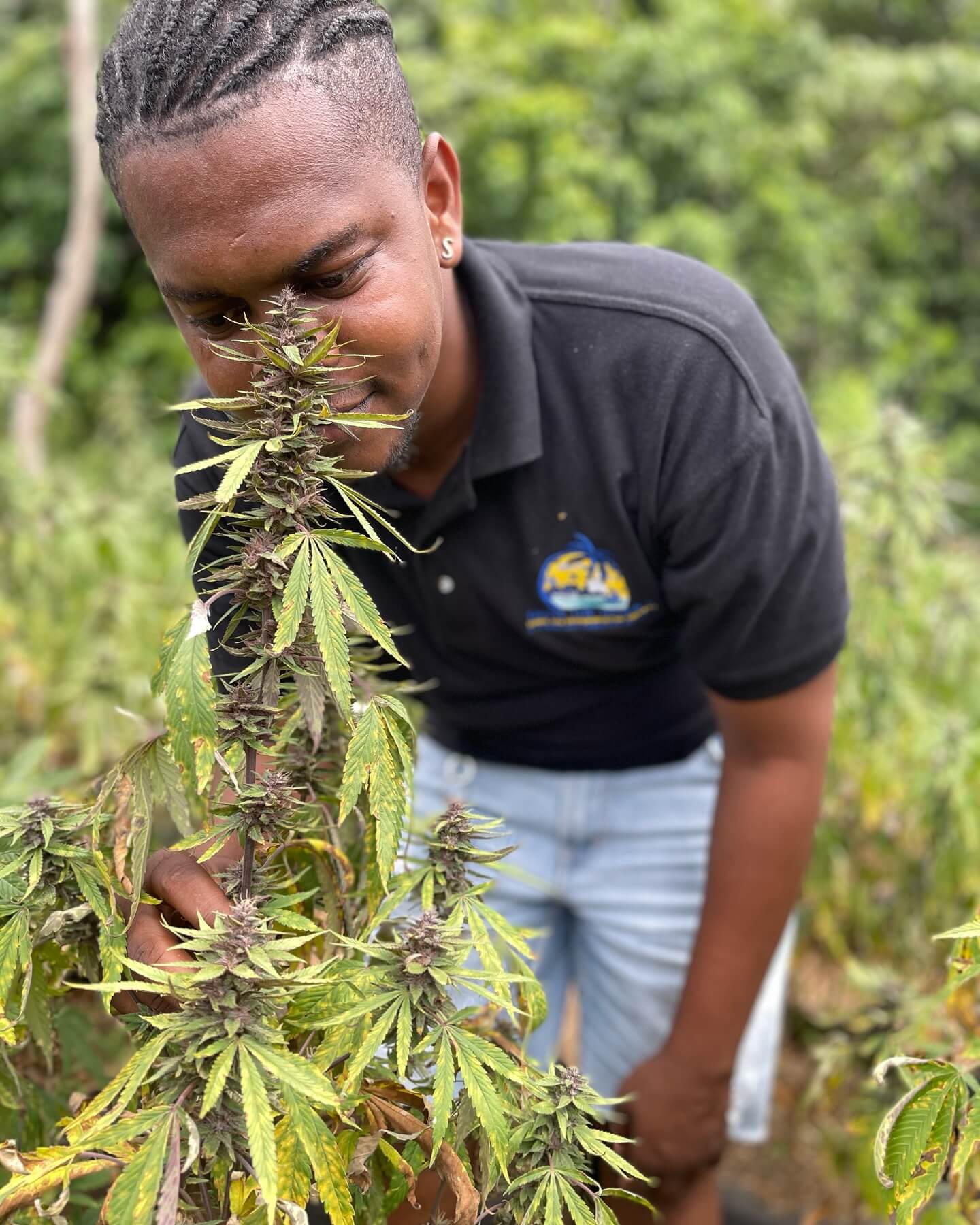 Jamaica Cultural Herb Farm Tour - Image 7