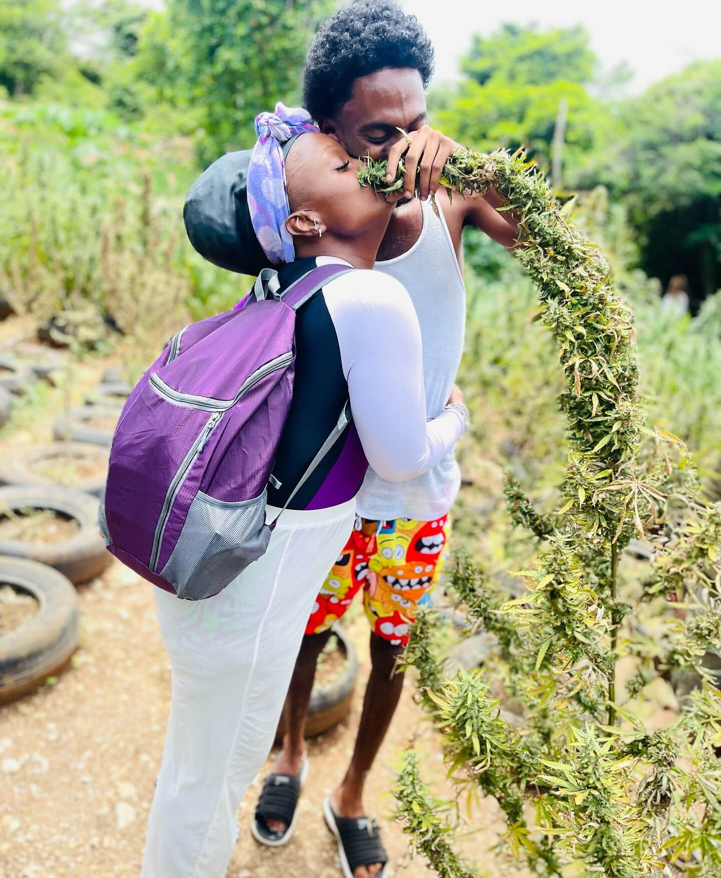 Jamaica Cultural Herb Farm Tour - Image 5