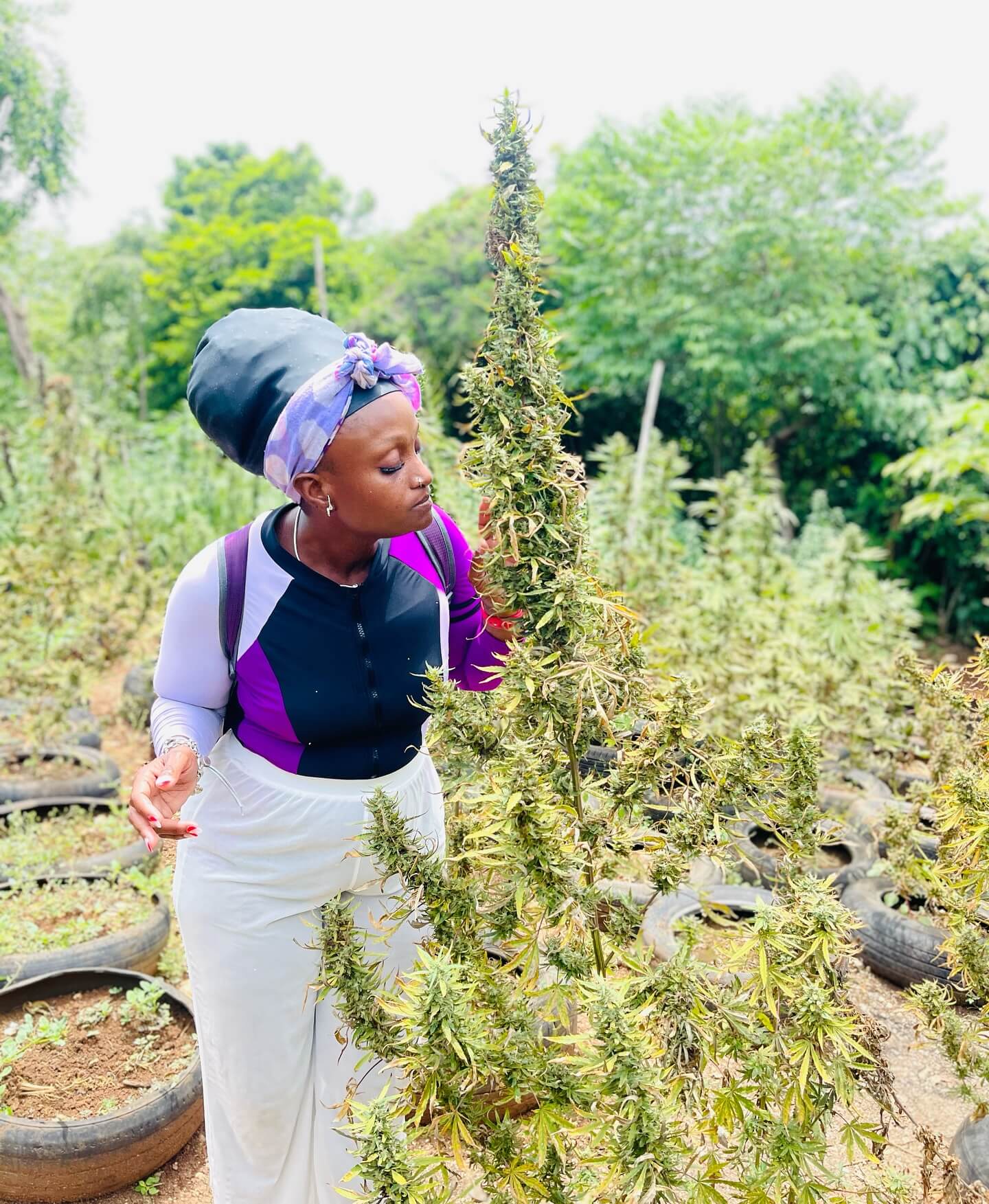 Jamaica Cultural Herb Farm Tour - Image 6