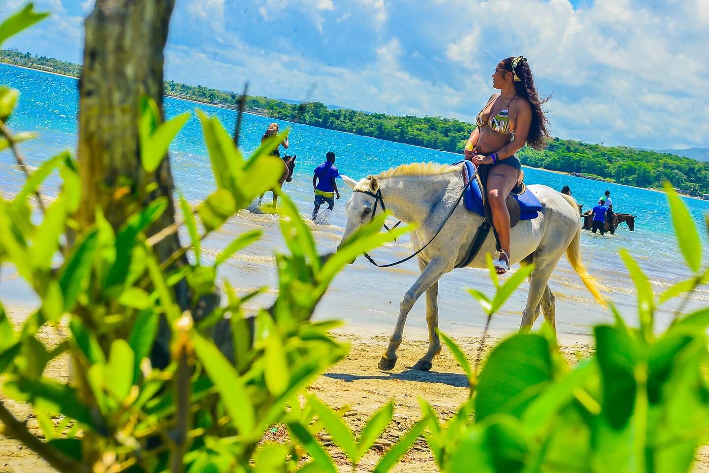 Horseback Riding Tour - Image 5